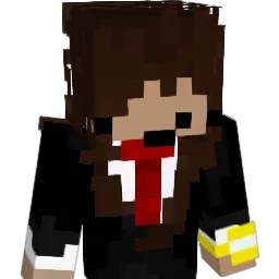 acel_live Minecraft avatar bust
