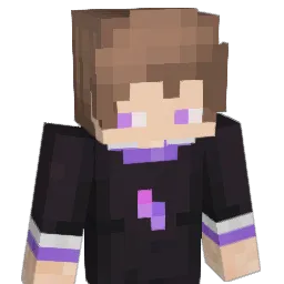 aces_1351 Minecraft avatar bust