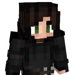 achesinhache Minecraft avatar bust