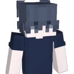 acidstars Minecraft avatar bust