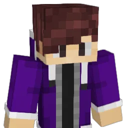 acko1337 Minecraft avatar bust