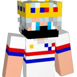 aclt1002 Minecraft avatar bust