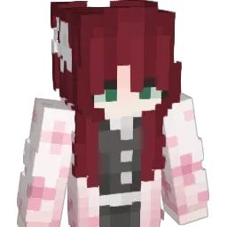 sonn1qww's skin