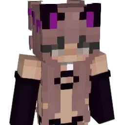 adi__ligma Minecraft avatar bust