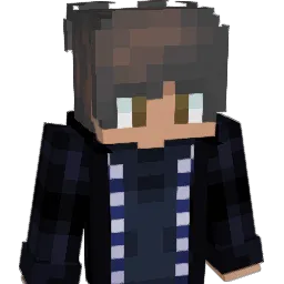 adiins Minecraft avatar bust