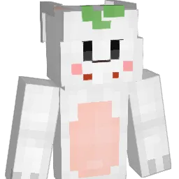 admin_AppStore's Minecraft skin