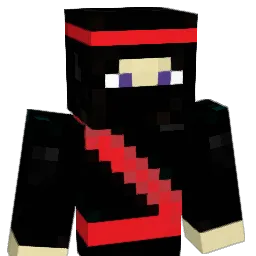 adr1vn Minecraft avatar bust