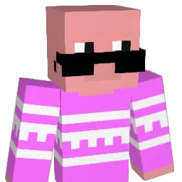 adsorbs Minecraft avatar bust