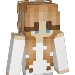 ady6206 Minecraft avatar bust