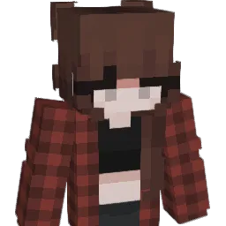 aech9072's Minecraft skin