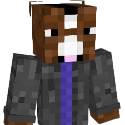 aequitas510 Minecraft avatar bust