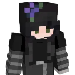 aerumnus