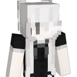 aestheic Minecraft avatar bust