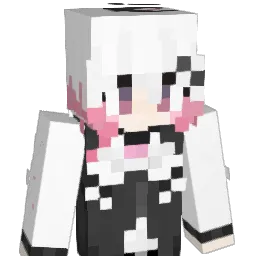 aesu12 Minecraft avatar bust
