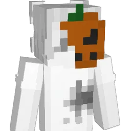 aewp Minecraft avatar bust