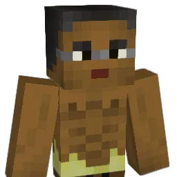 afactevs189's Minecraft skin