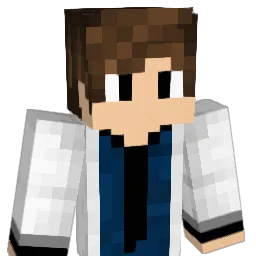 afds3225 Minecraft avatar bust