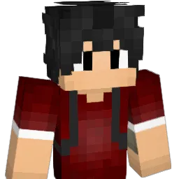 affprecisa Minecraft avatar bust