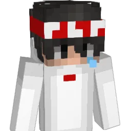 agfdx Minecraft avatar bust
