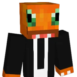 ags1803 Minecraft avatar bust