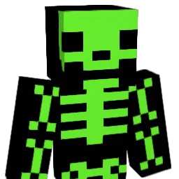 ah3748 Minecraft avatar bust