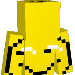 aha8020 Minecraft avatar bust