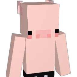 ahn6219 Minecraft avatar bust