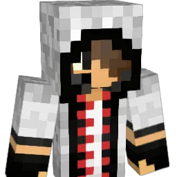 ahz4g Minecraft avatar bust