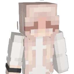 aidamlb Minecraft avatar bust