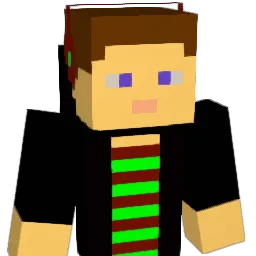 aidane29 Minecraft avatar bust