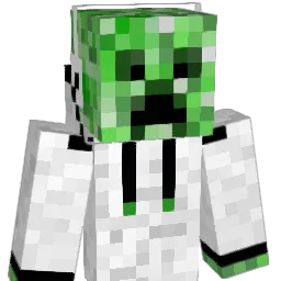aidasm Minecraft avatar bust