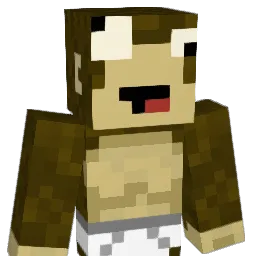 aidenrussell_ Minecraft avatar bust