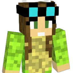 aim200 Minecraft avatar bust