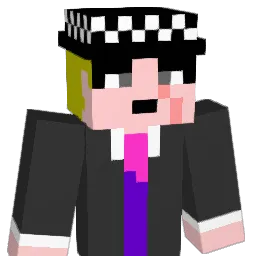 aio_848 Minecraft avatar bust