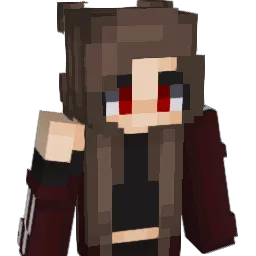 aio_aa Minecraft avatar bust