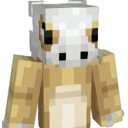aircraft007 Minecraft avatar bust