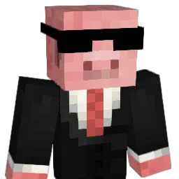 aircraft2004 Minecraft avatar bust
