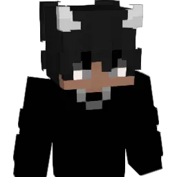 akash1004 Minecraft avatar bust