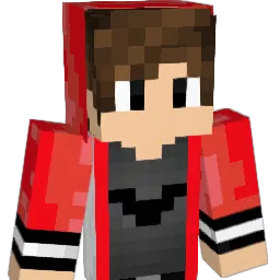 akash7517 Minecraft avatar bust
