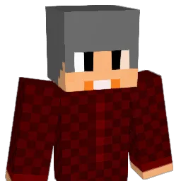 akdls57's Minecraft skin