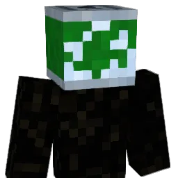 akikanP Minecraft avatar bust