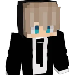 akirtto3 Minecraft avatar bust