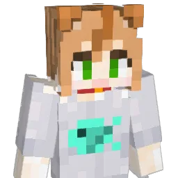 akk3476 Minecraft avatar bust