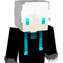 akwj125 Minecraft avatar bust