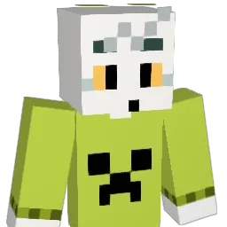 alanNG_ Minecraft avatar bust