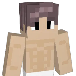 alanpro5021 Minecraft avatar bust