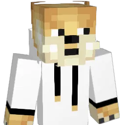 albergon2004 Minecraft avatar bust