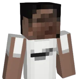 aligaduo44 Minecraft avatar bust