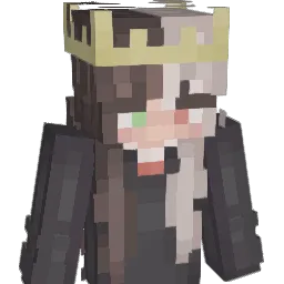 aliperdo's Minecraft skin