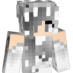 alisa1107 Minecraft avatar bust